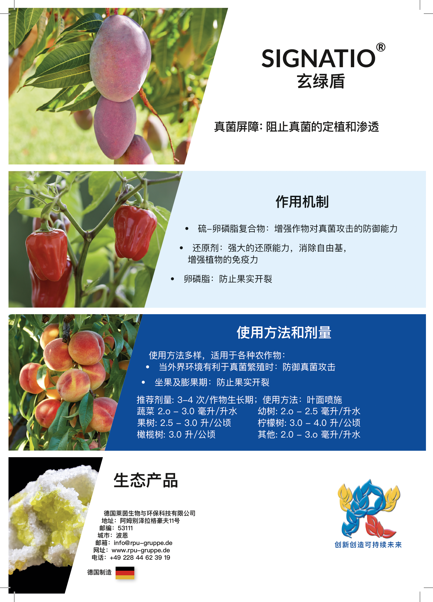 截屏2024-12-04 20.42.32.png